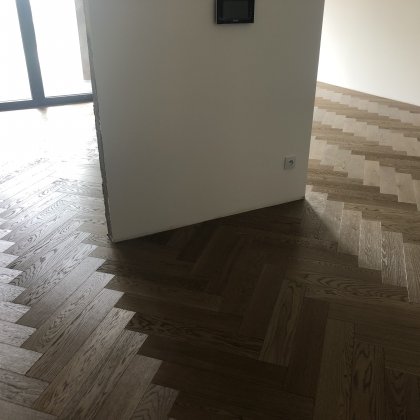685.JPG